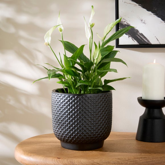 Textured Detail Ceramic Plant Pot