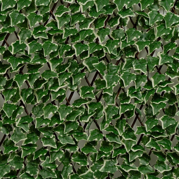 Carousel navigation image position 2 of 2