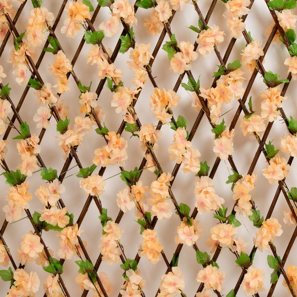 Carousel navigation image position 2 of 2