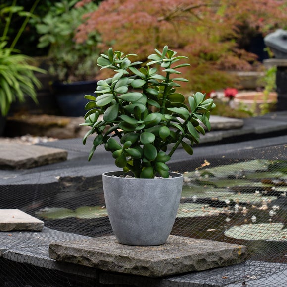 Carousel navigation image position 2 of 4