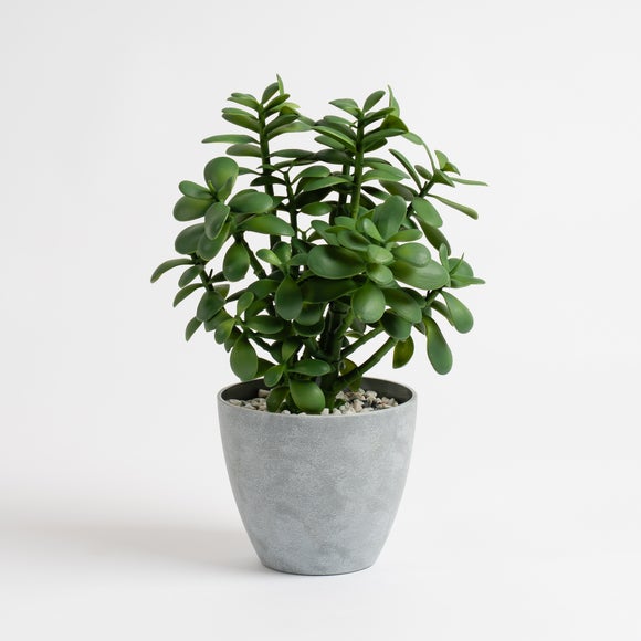 Carousel navigation image position 3 of 4