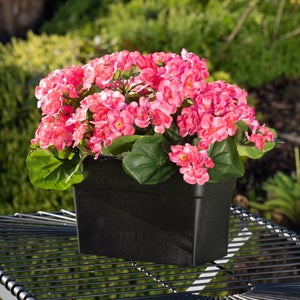 Artificial Geranium Trough