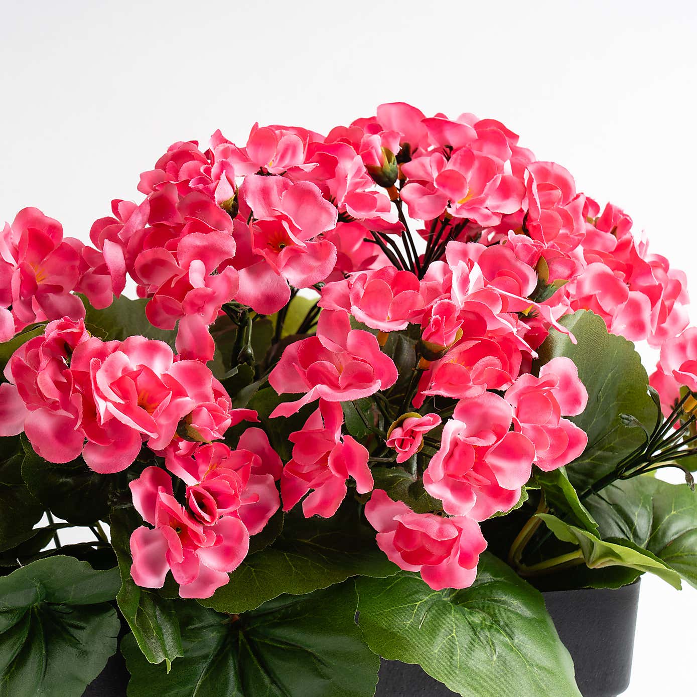 Carousel zoom image position 3 of 3