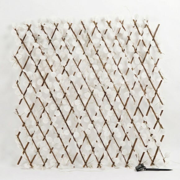 Carousel navigation image position 4 of 4