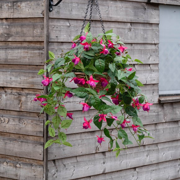 Click to view product details and reviews for Artificial Fuchsia Hanging Basket.