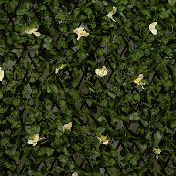 Carousel navigation image position 2 of 2