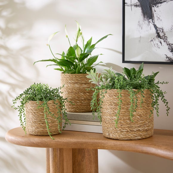 Set of 3 Woven Seagrass Plant Pots