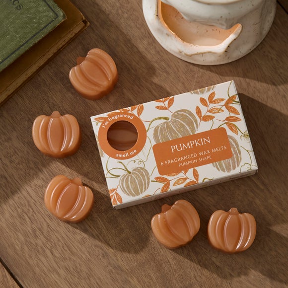 Set of 6 Pumpkin Shaped Wax Melts