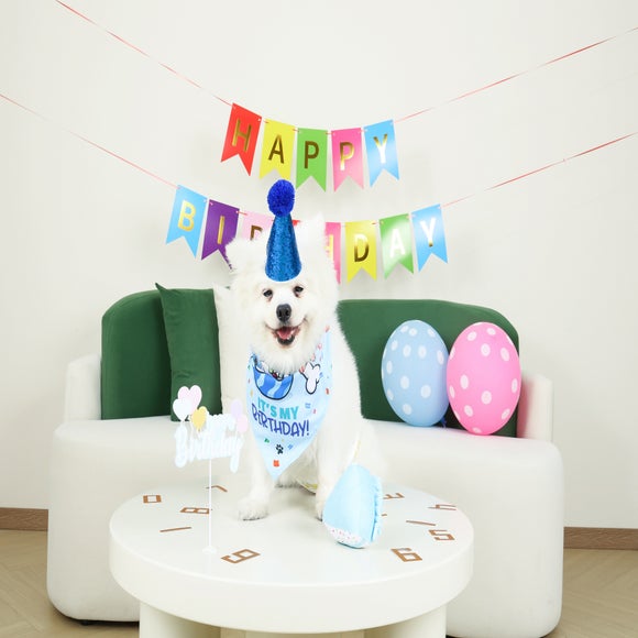 M-Pets Party Time Gentleman's Dog Set