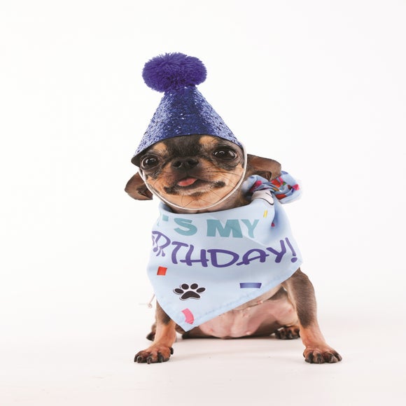 Carousel navigation image position 2 of 6