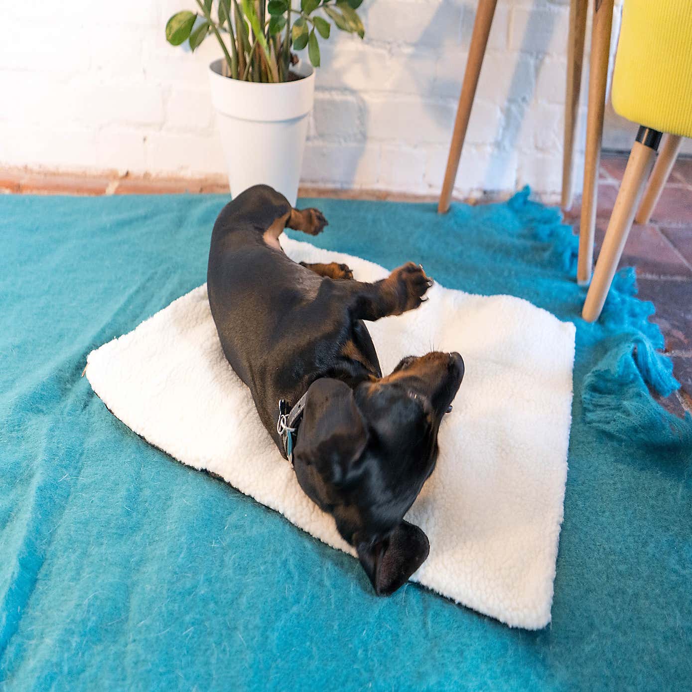 Carousel zoom image position 3 of 3