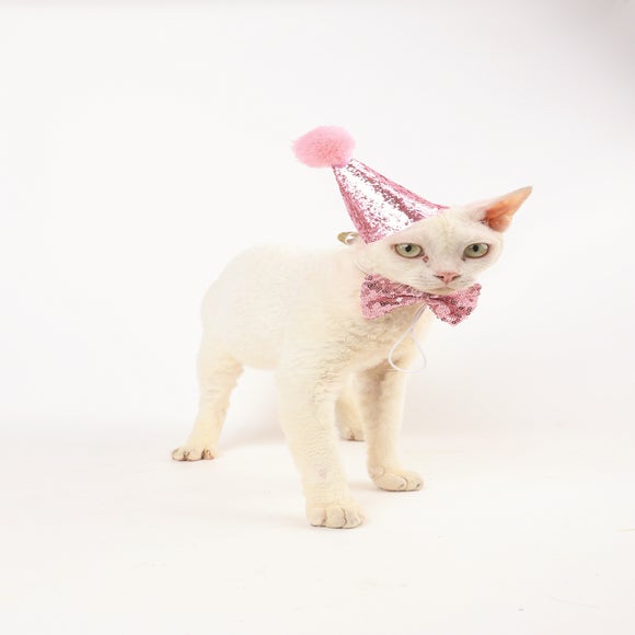 Carousel navigation image position 2 of 3