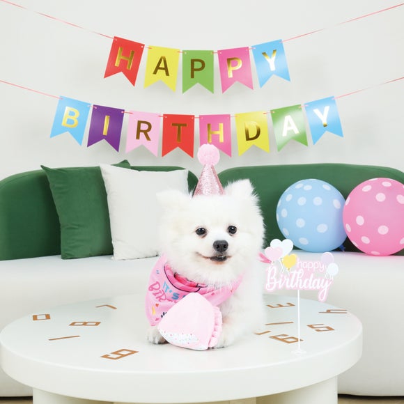 M-Pets Party Time Lady's Dog Set