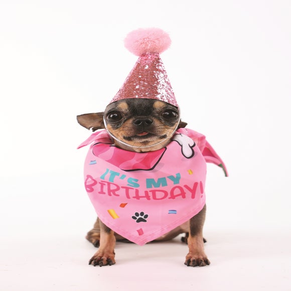 Carousel navigation image position 2 of 6