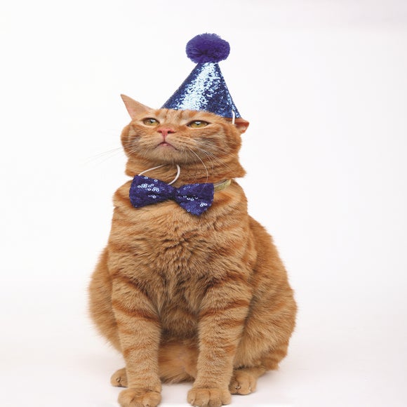 Carousel navigation image position 2 of 6