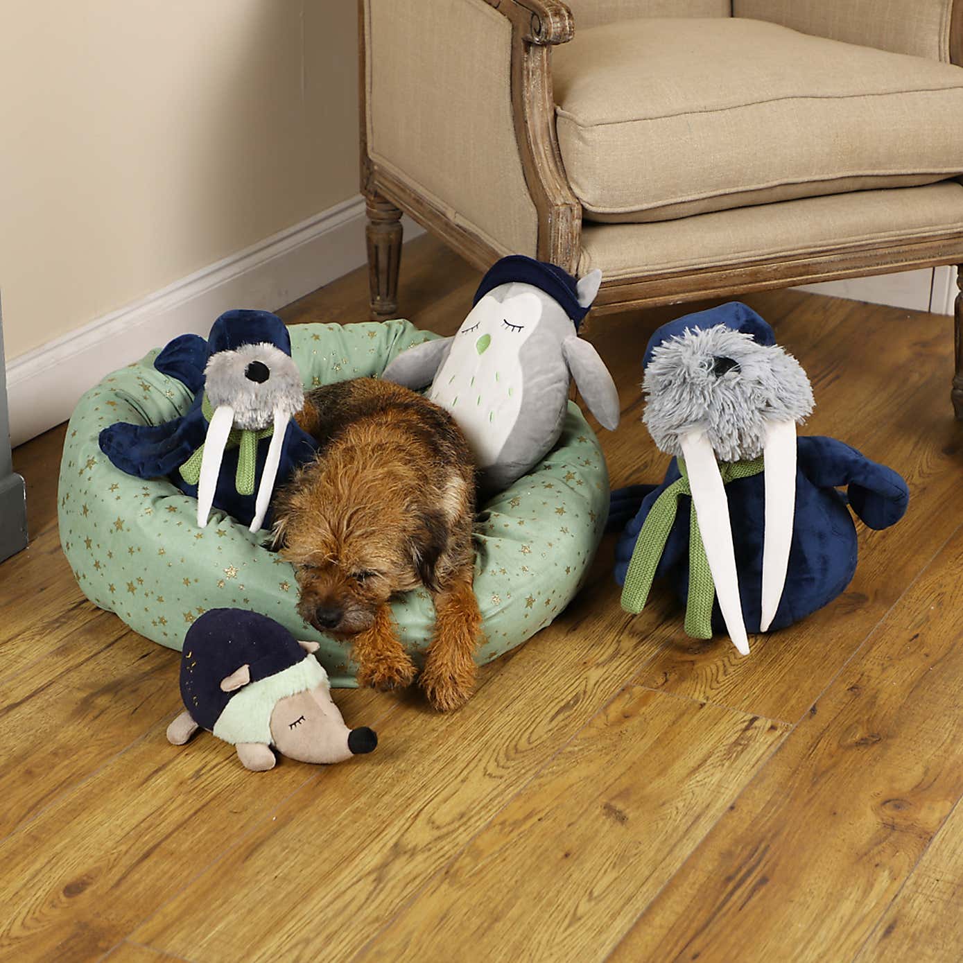 Carousel zoom image position 2 of 3