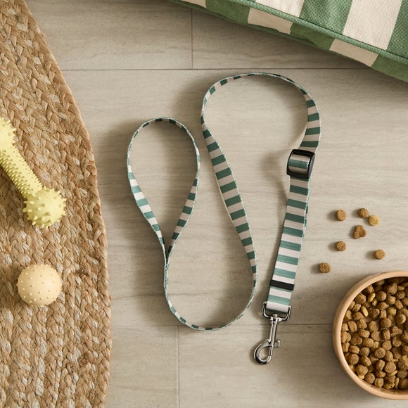 Wide Stripe Pet Lead