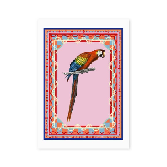 Photo 2 of East End Prints Birdframe Macaw Print