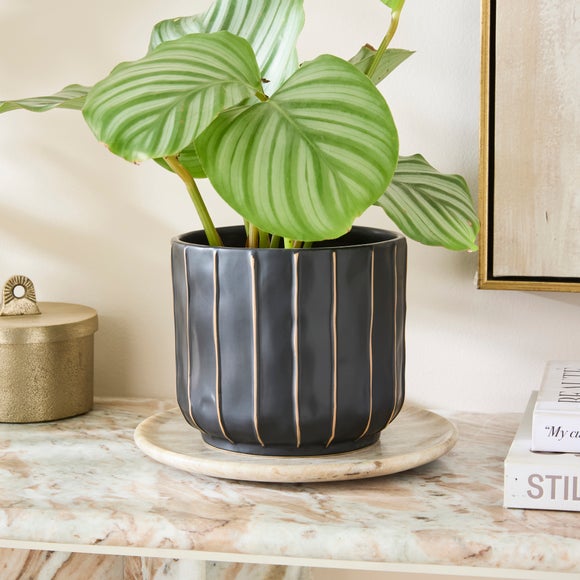 Black & Brown Striped Ceramic Plant Pot