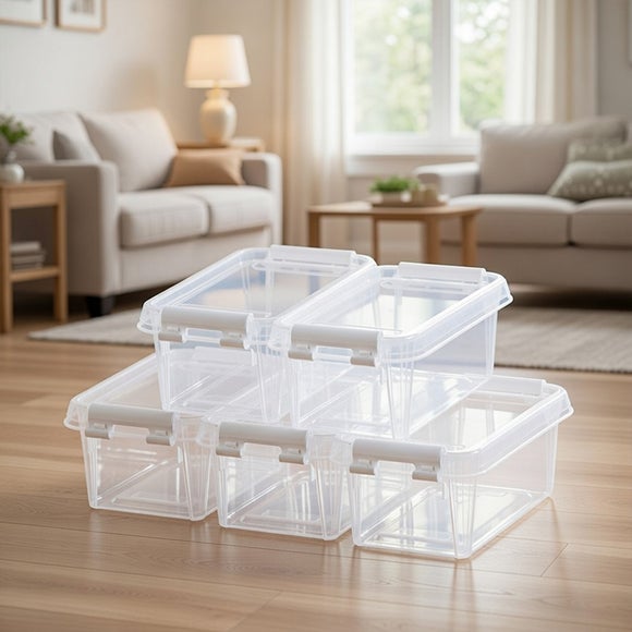 Smartstore Set of 5 0.3L Storage Boxes