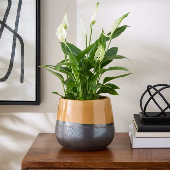 Two Tone Reactive Glaze Ceramic Plant Pot