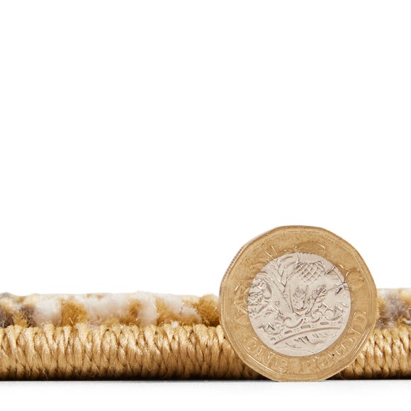 Carousel navigation image position 4 of 10