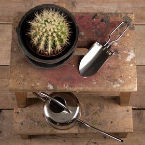 Fallen Fruits Square Dustpan And Brush