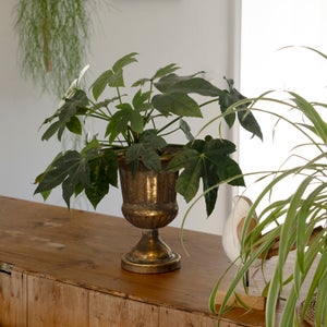 Fallen Fruits Antique Metal French Urn