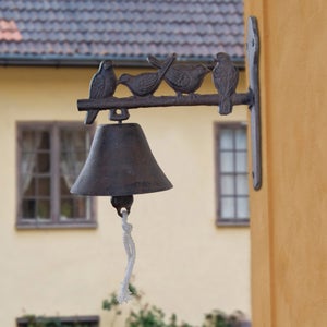 Fallen Fruits Bird Doorbell