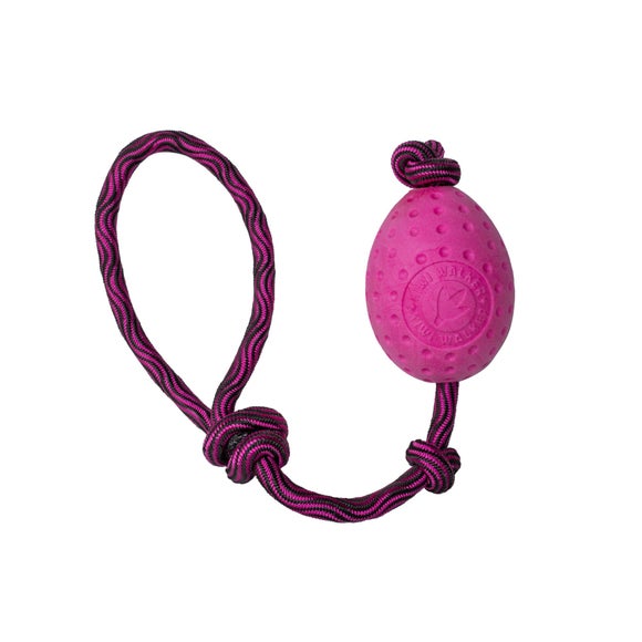 Kiwi Walker Let's Play Egg Dog Toy