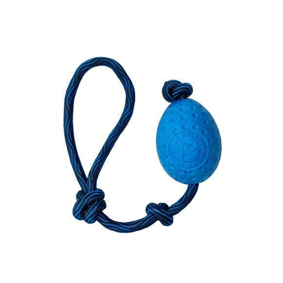 Kiwi Walker Let's Play Egg Dog Toy