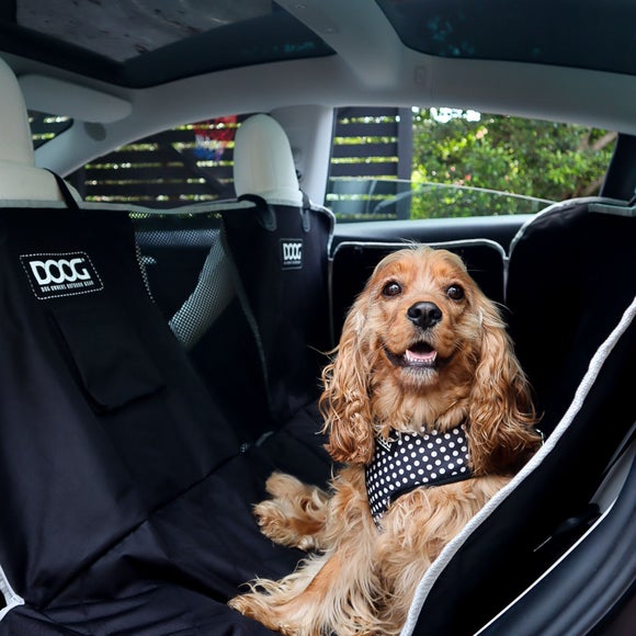 Carousel navigation image position 2 of 7