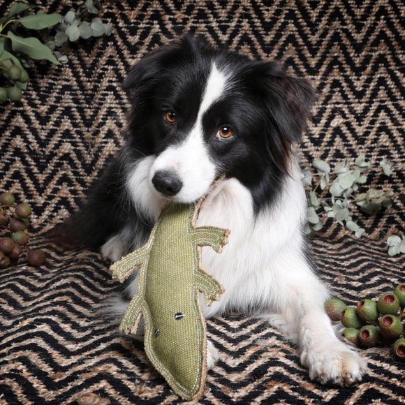 Carousel navigation image position 3 of 3