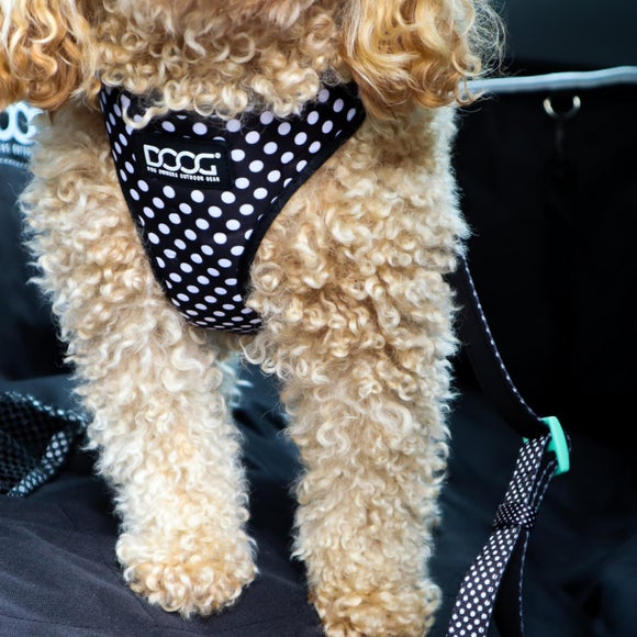 Carousel navigation image position 2 of 3