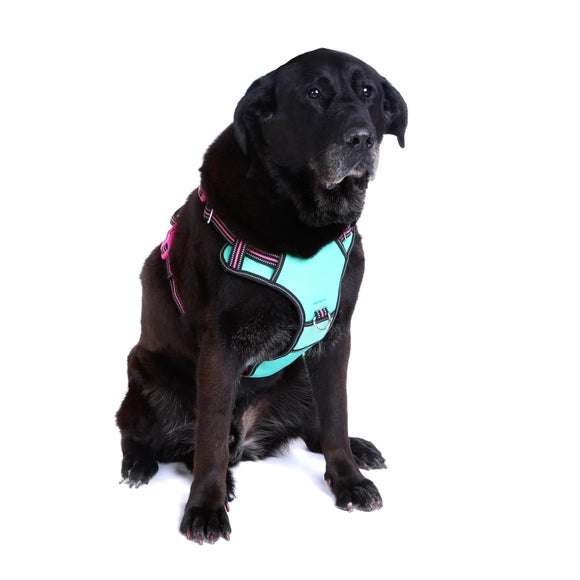 Carousel navigation image position 5 of 7