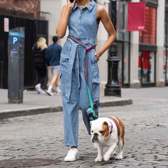 Carousel navigation image position 2 of 4