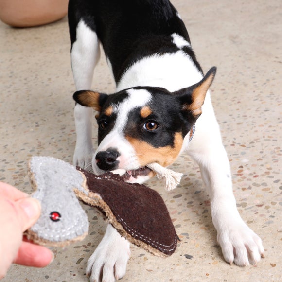 Carousel navigation image position 2 of 4