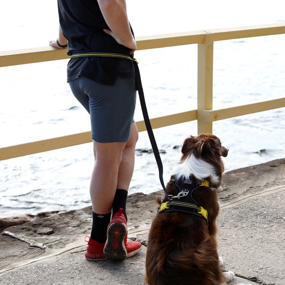 Carousel navigation image position 4 of 4