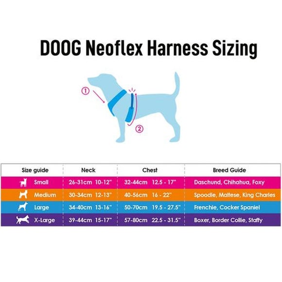 Carousel navigation image position 4 of 4