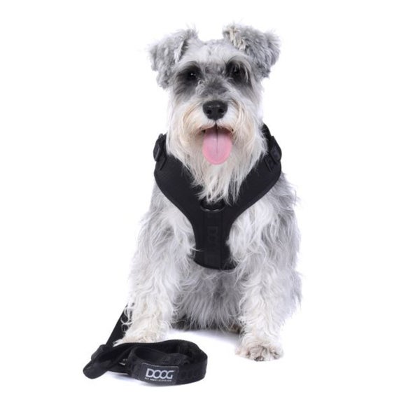 Carousel navigation image position 2 of 4