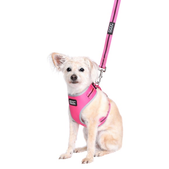 Carousel navigation image position 4 of 5