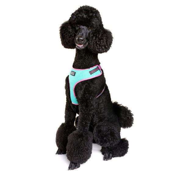 Carousel navigation image position 2 of 4