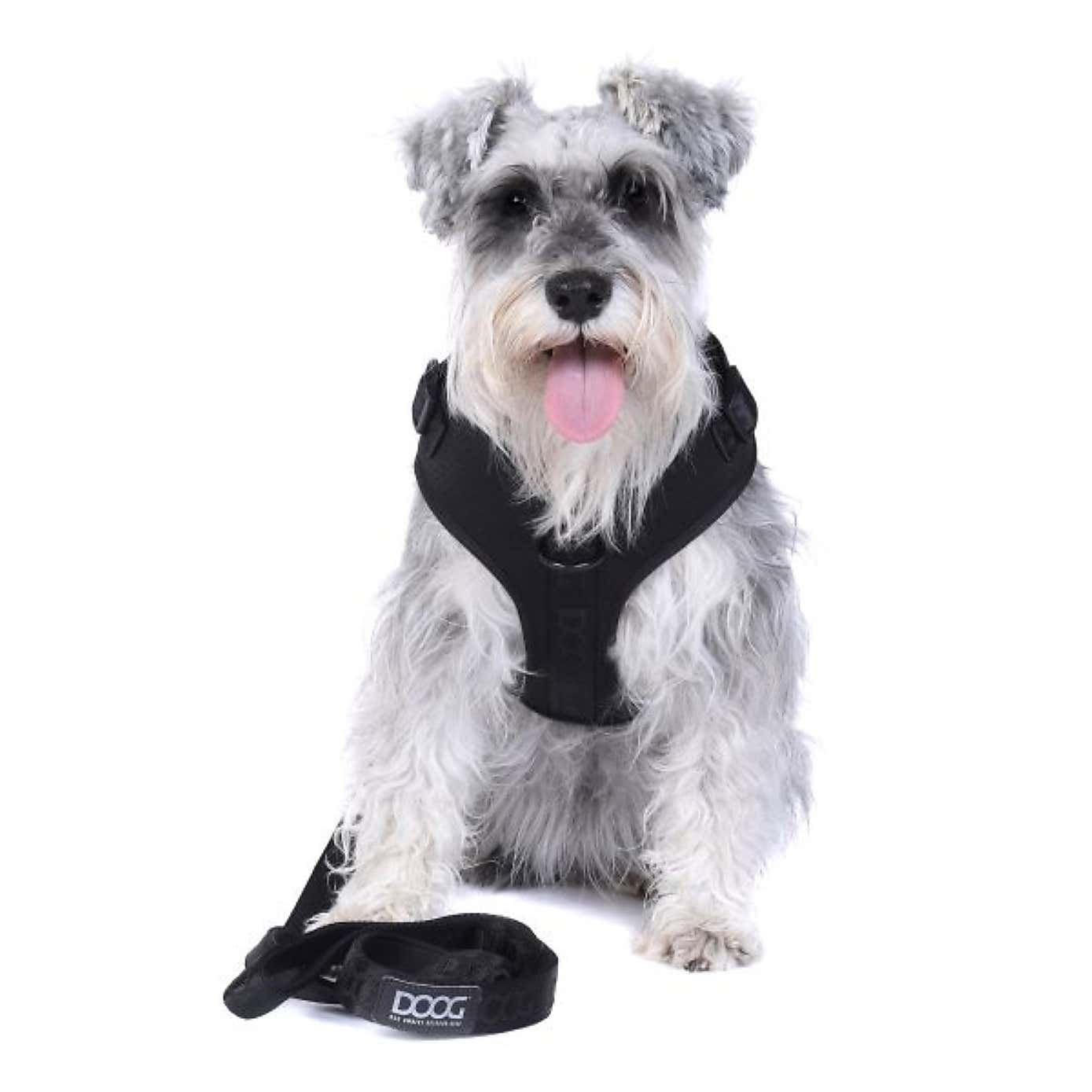 Carousel zoom image position 2 of 4