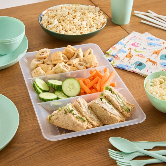 Divided Food Tray