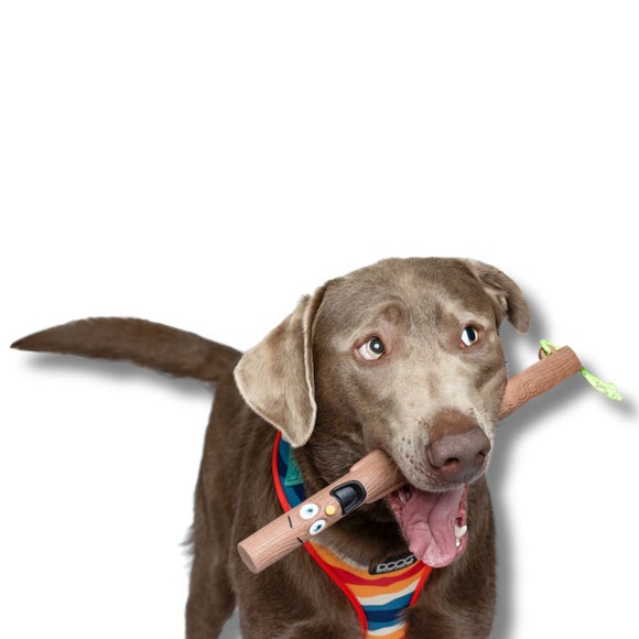 Carousel navigation image position 2 of 4