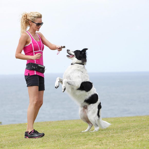 Carousel navigation image position 2 of 2