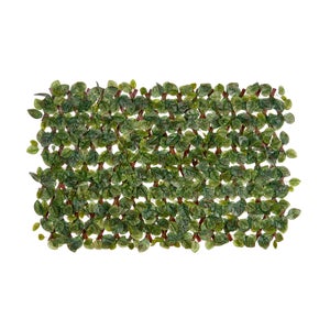 Artificial Fittonia Trellis