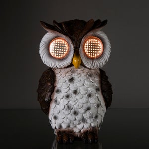 Solar Owl With Moving Eyes