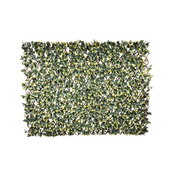 Carousel navigation image position 2 of 3