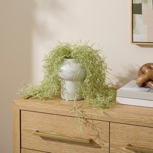 Artificial Trailing Plant In White Ceramic Vase